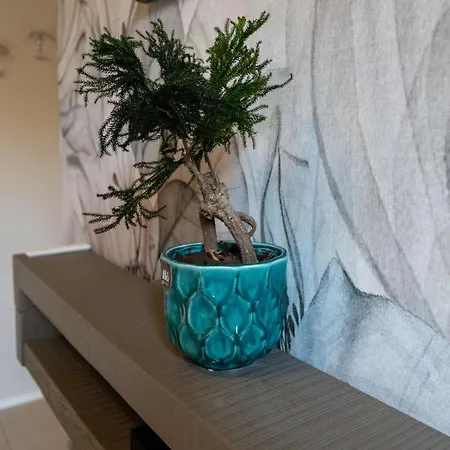 Casa Di Babii Appartement *