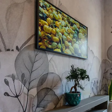 Casa Di Babii